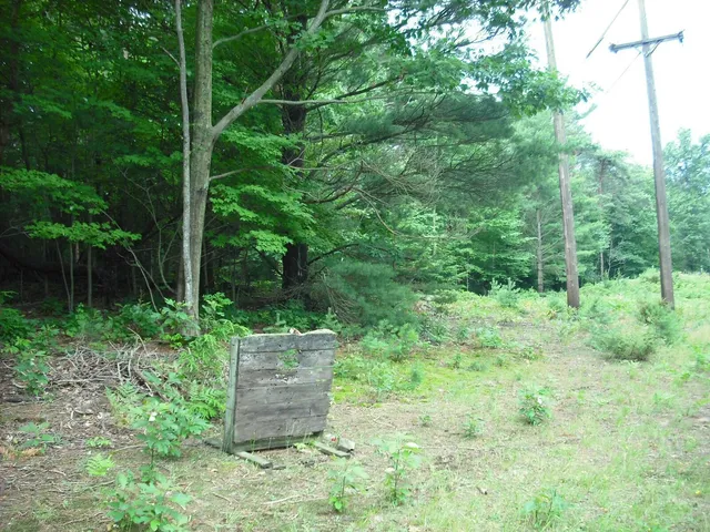 $1,049,000 | 17078 Lake Michigan Drive, West Olive, MI 49460