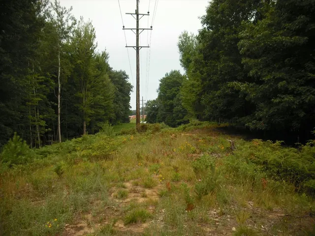 $1,049,000 | 17078 Lake Michigan Drive, West Olive, MI 49460