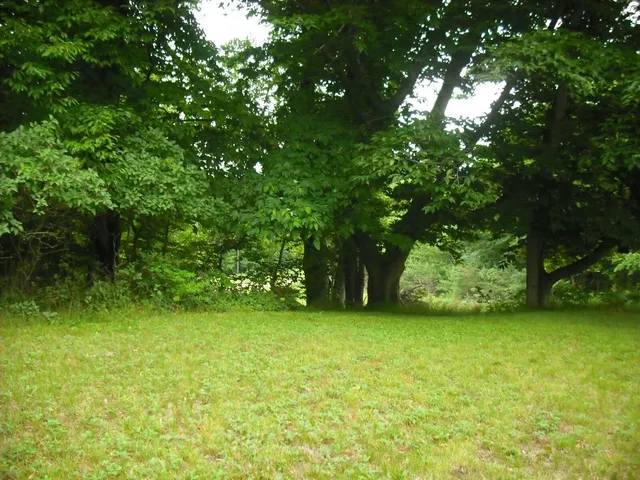 $1,049,000 | 17078 Lake Michigan Drive, West Olive, MI 49460