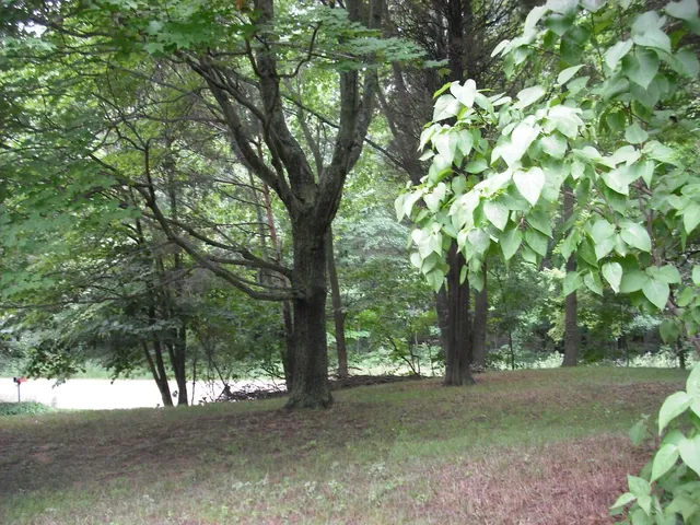 $1,049,000 | 17078 Lake Michigan Drive, West Olive, MI 49460