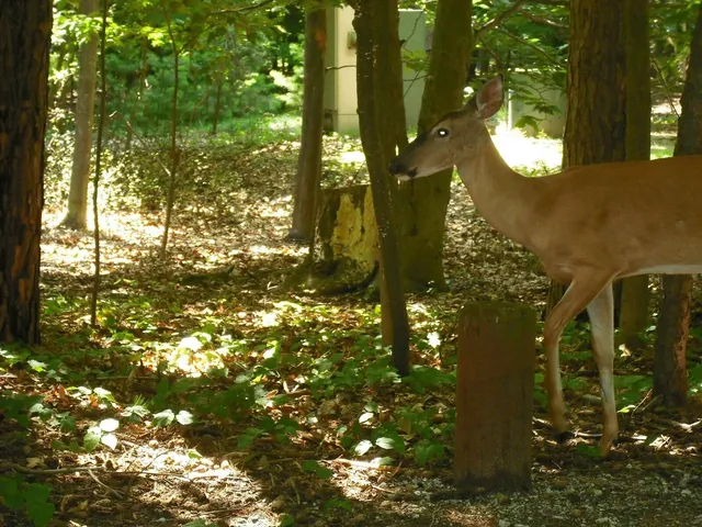 $1,049,000 | 17078 Lake Michigan Drive, West Olive, MI 49460