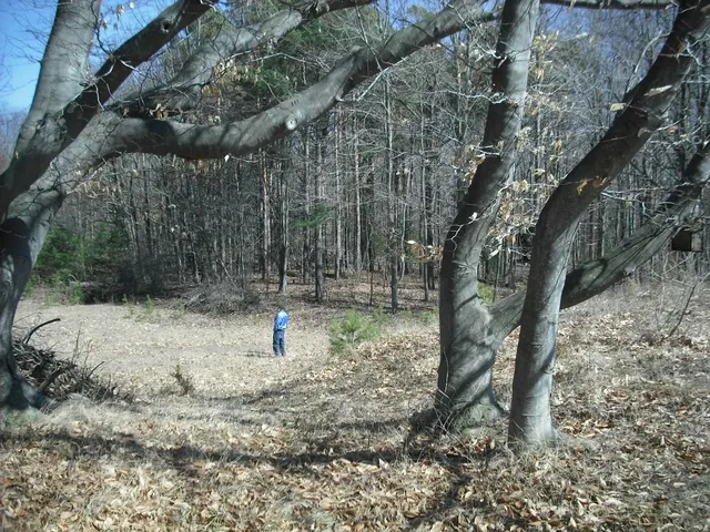 $1,049,000 | 17078 Lake Michigan Drive, West Olive, MI 49460