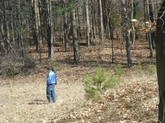 $1,049,000 | 17078 Lake Michigan Drive, West Olive, MI 49460