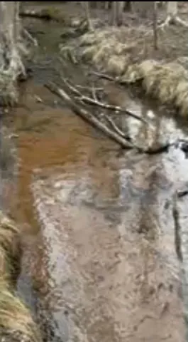 $1,049,000 | 17078 Lake Michigan Drive, West Olive, MI 49460