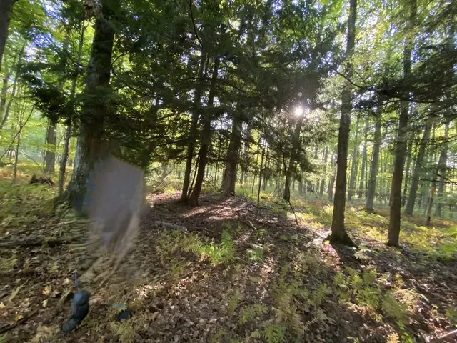 $1,049,000 | 17078 Lake Michigan Drive, West Olive, MI 49460