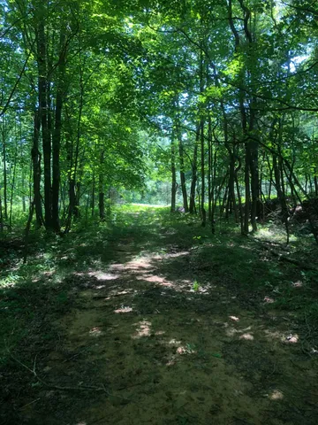 $1,049,000 | 17078 Lake Michigan Drive, West Olive, MI 49460