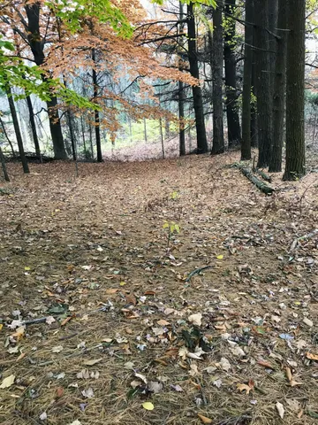 $1,049,000 | 17078 Lake Michigan Drive, West Olive, MI 49460