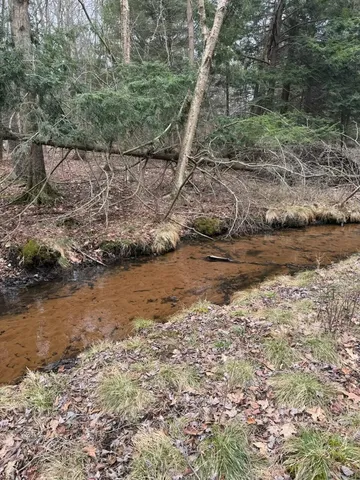 $1,049,000 | 17078 Lake Michigan Drive, West Olive, MI 49460