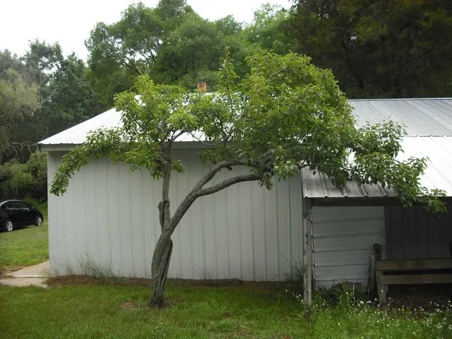 $1,049,000 | 17078 Lake Michigan Drive, West Olive, MI 49460