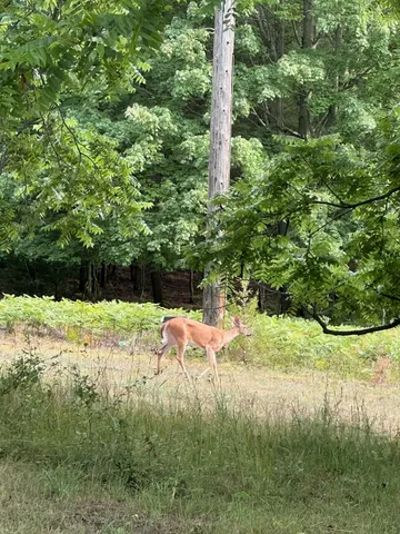 $1,049,000 | 17078 Lake Michigan Drive, West Olive, MI 49460