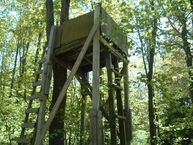 $1,049,000 | 17078 Lake Michigan Drive, West Olive, MI 49460