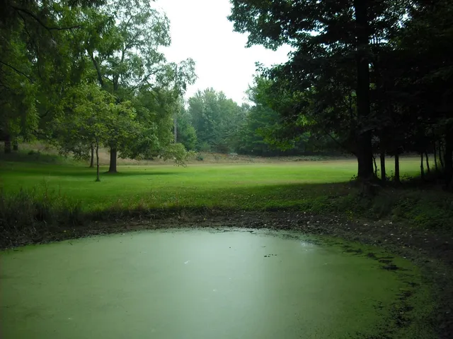 $1,049,000 | 17078 Lake Michigan Drive, West Olive, MI 49460