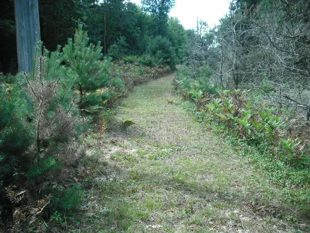 $1,049,000 | 17078 Lake Michigan Drive, West Olive, MI 49460