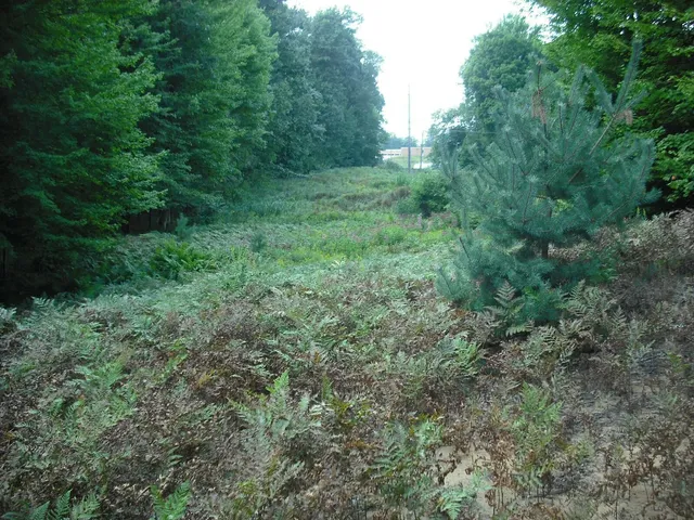 $1,049,000 | 17078 Lake Michigan Drive, West Olive, MI 49460