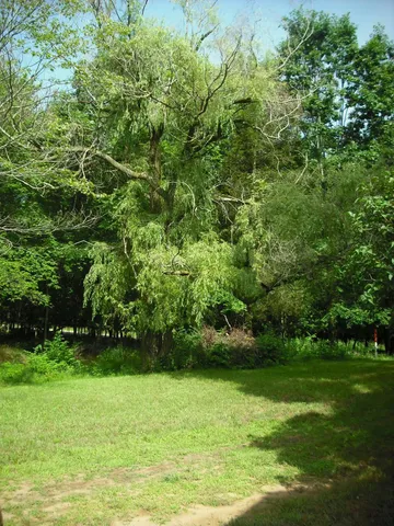 $1,049,000 | 17078 Lake Michigan Drive, West Olive, MI 49460