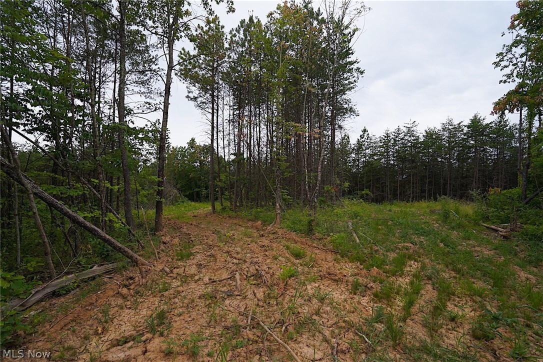 Ellis Run Road Cutler, OH 45724 - Photo 9 of 10 Gallery Image 9
