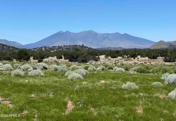 a view of a town with mountains in the background