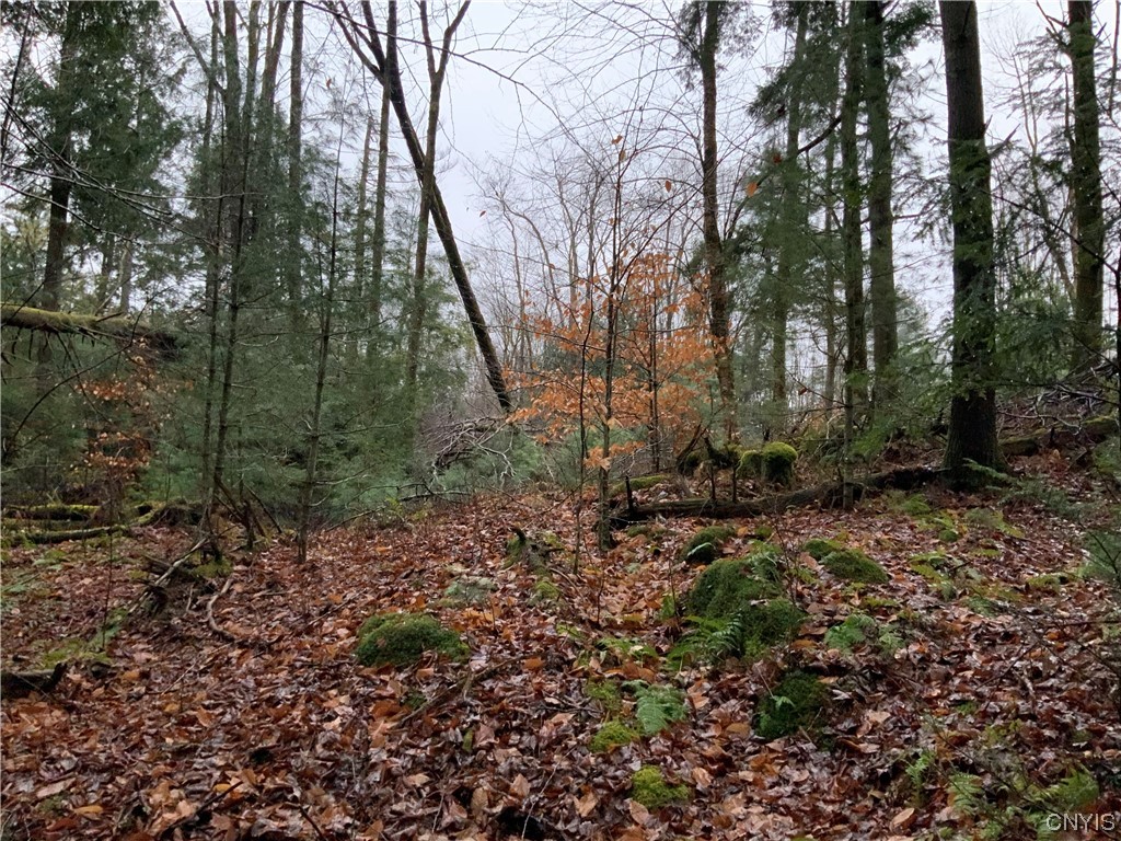 768 Center Street Constantia, NY 13042 - Photo 2 of 31