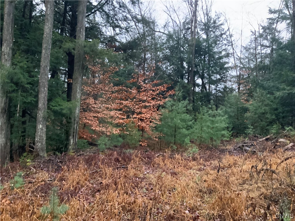 768 Center Street Constantia, NY 13042 - Photo 8 of 31