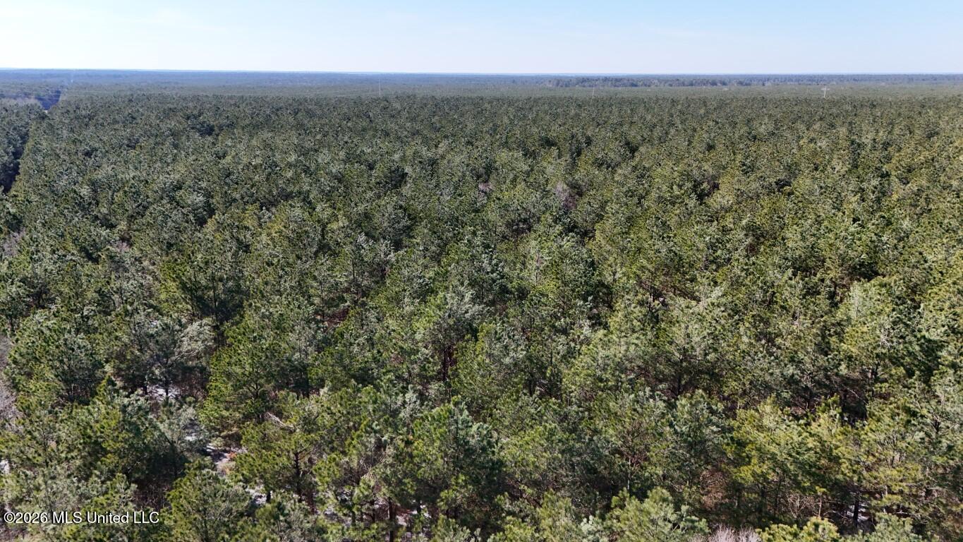 Debutte Road Bastrop, LA 71220 - Photo 9 of 28 DJI_20260202134621_0135_D (Medium)