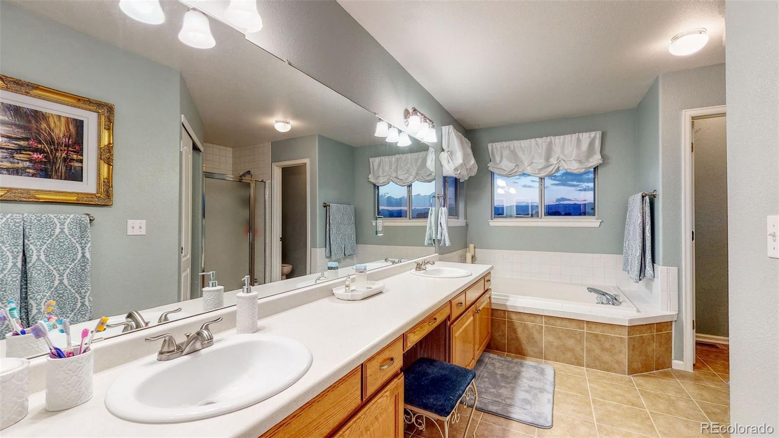 9936 Silver Maple Road Highlands Ranch, CO 80129 - Photo 18 of 28 Gallery Image 18