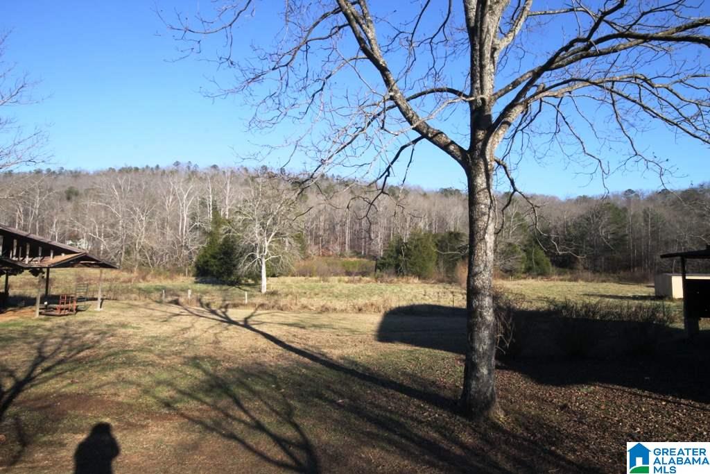 1510 White Plains Road Anniston, AL 36207 - Photo 2 of 50