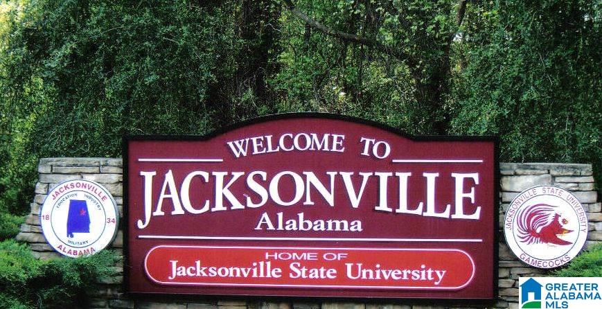 1008 Groves Pass Jacksonville, AL 36265 - Photo 4 of 9