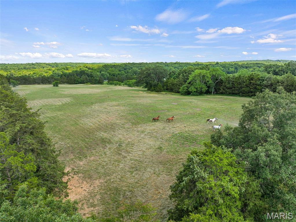 3951 Project Road Lonedell, MO 63060 - Photo 12 of 17