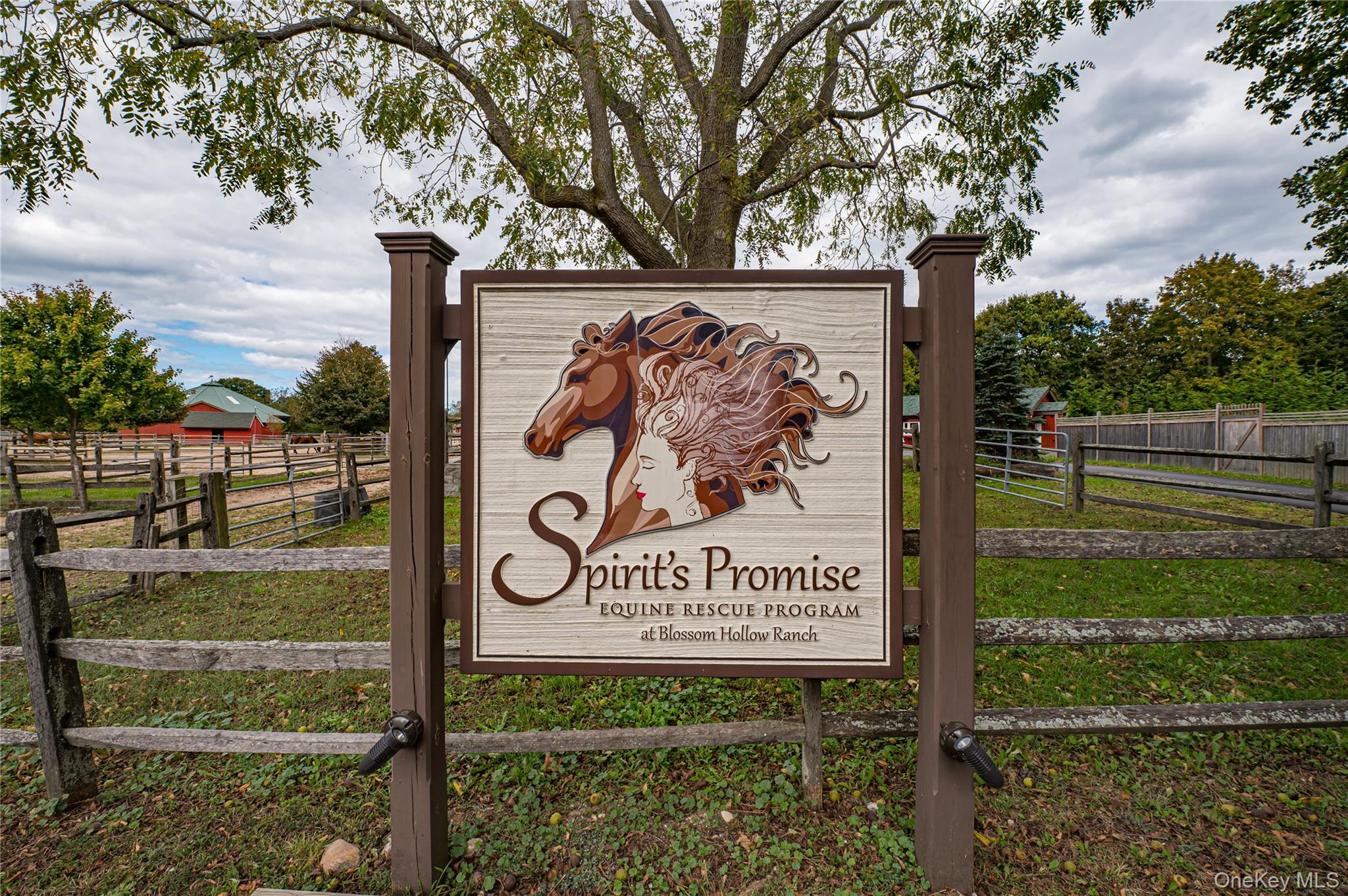 2746 Sound Avenue Riverhead, NY 11901 - Photo 18 of 44 a sign on the side of a building