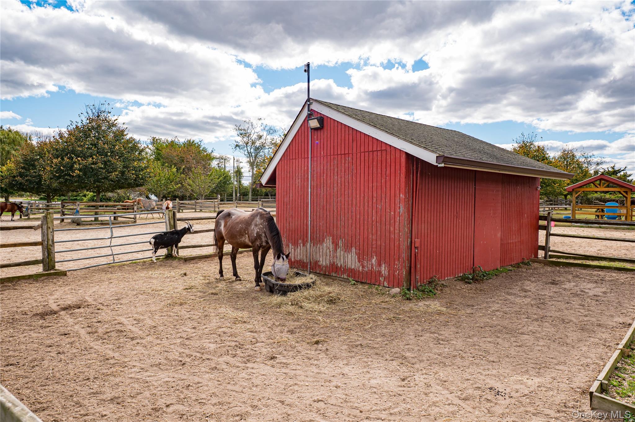 2746 Sound Avenue Riverhead, NY 11901 - Photo 25 of 44 a view of backyard with wooden fence
