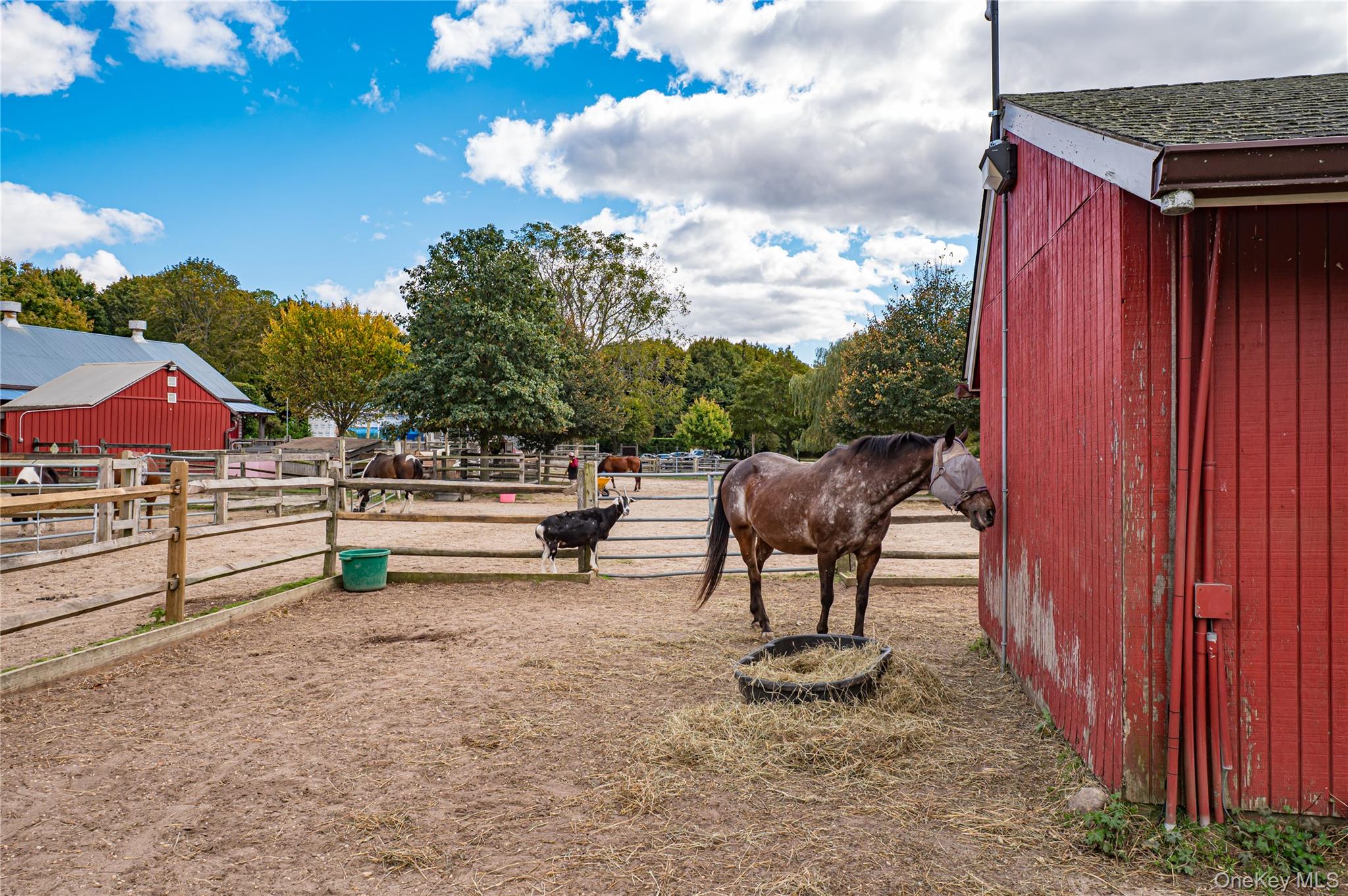 2746 Sound Avenue Riverhead, NY 11901 - Photo 31 of 44 a view of outdoor space
