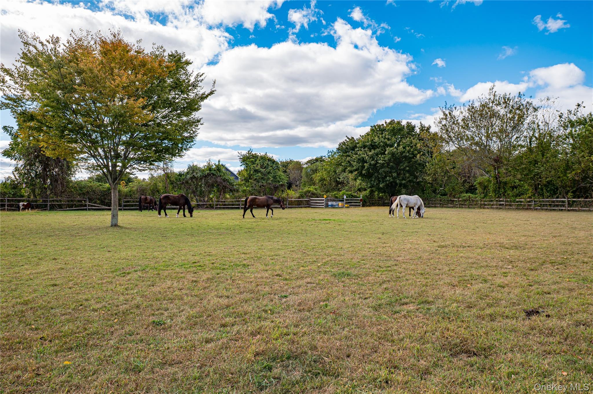 2746 Sound Avenue Riverhead, NY 11901 - Photo 34 of 44 a view of a park