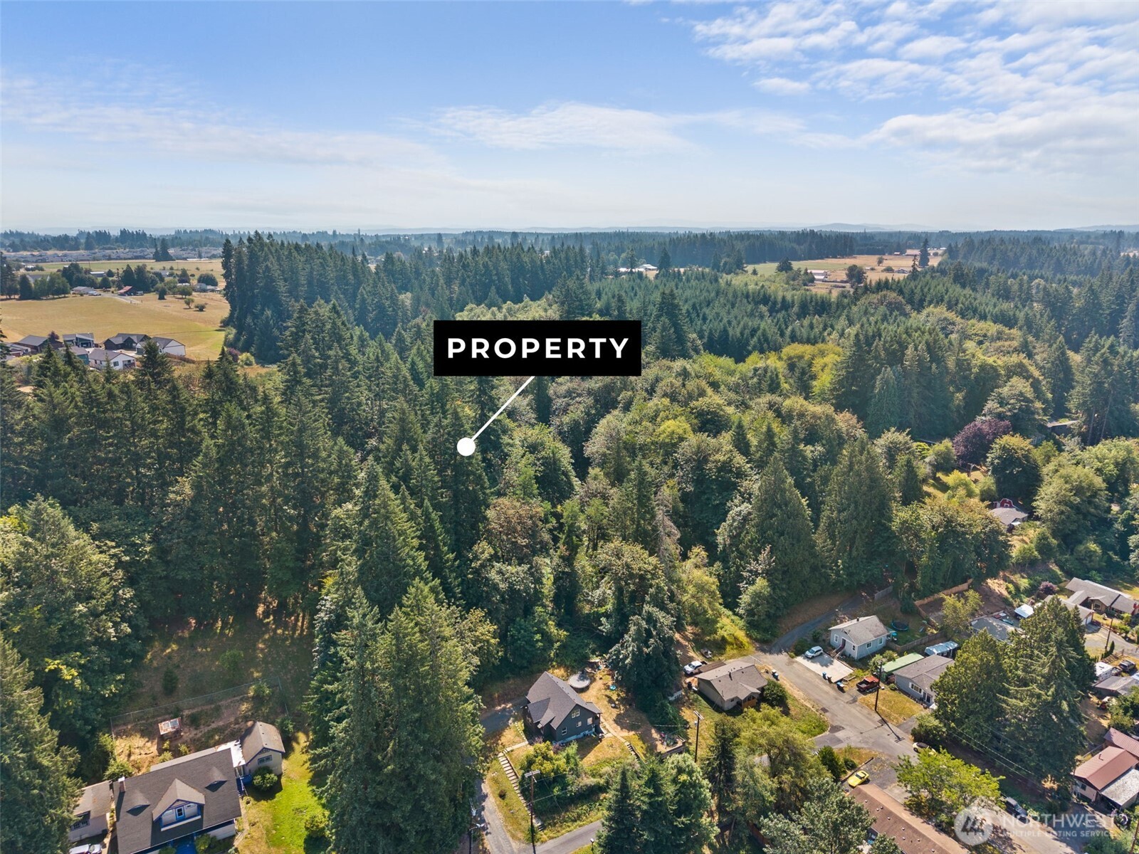 0 Southeast Ash Street Winlock, WA 98596 - Photo 3 of 23 Gallery Image 3