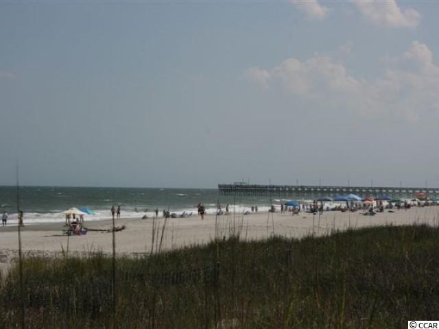 1024 Selma Loop Surfside Beach, SC 29575 - Photo 16 of 17