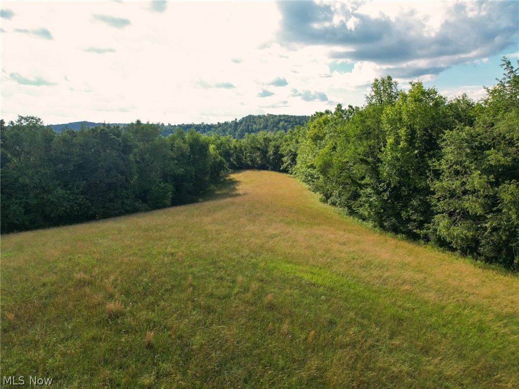 Wolf Road Newcomerstown, OH 43832 - Photo 10 of 35 Gallery Image 10