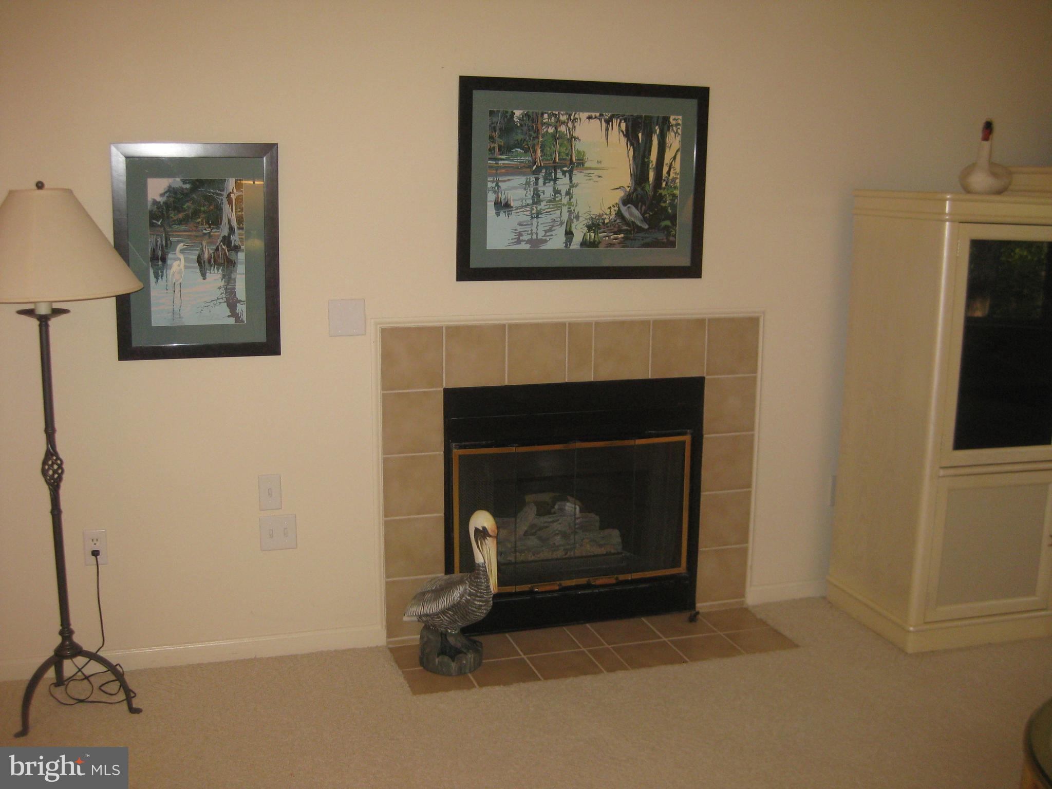 825 Runabout Loop Solomons, MD 20688 - Photo 5 of 13 Fire place