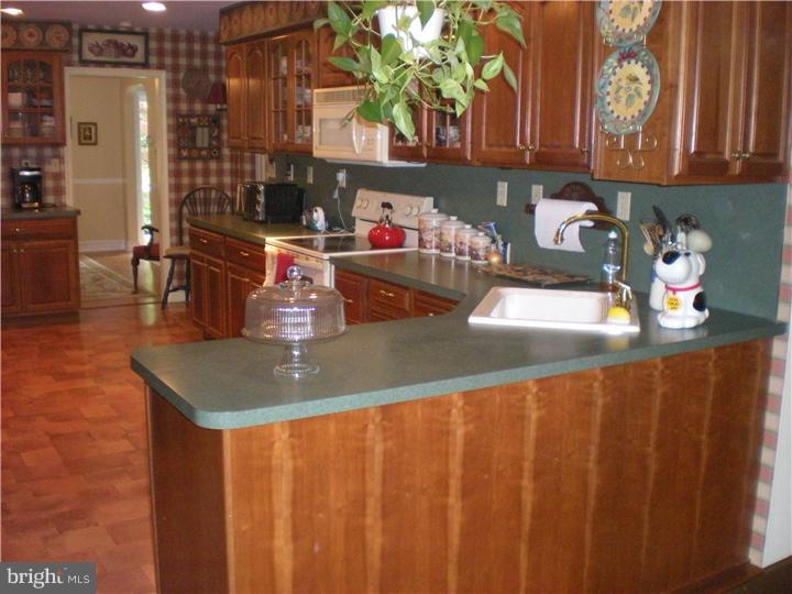 9 Plush Mill Road Wallingford, PA 19086 - Photo 13 of 25 Kitchen