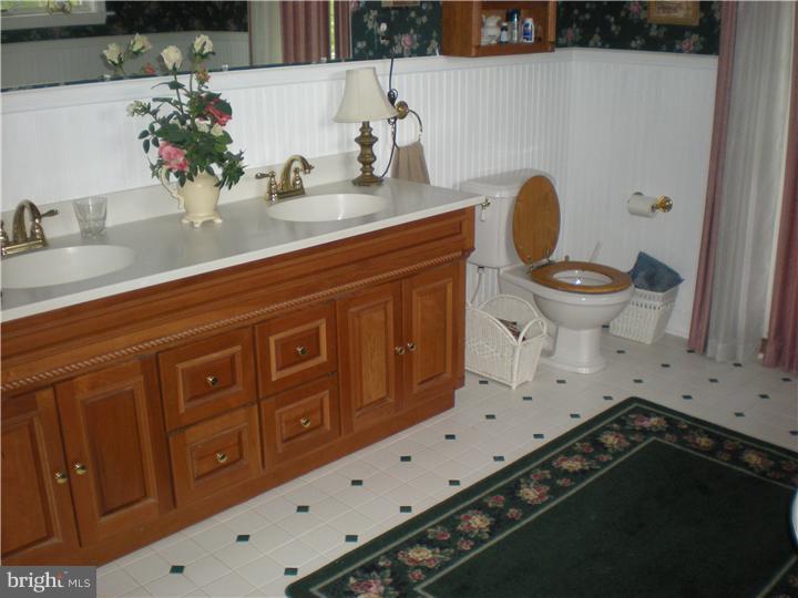 9 Plush Mill Road Wallingford, PA 19086 - Photo 22 of 25 Master Bathroom