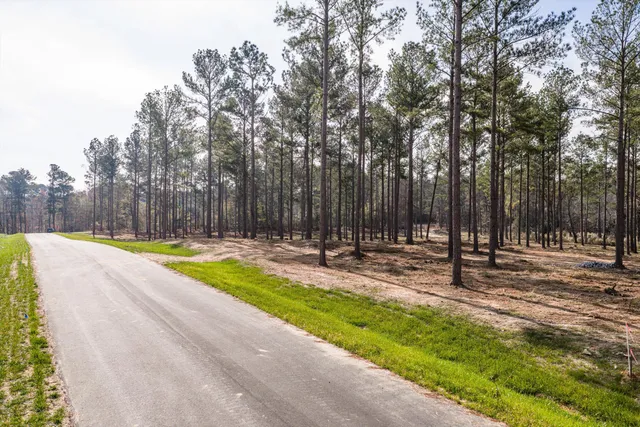 $165,000 | 128 Beagle Chase Drive, Appling, GA 30802