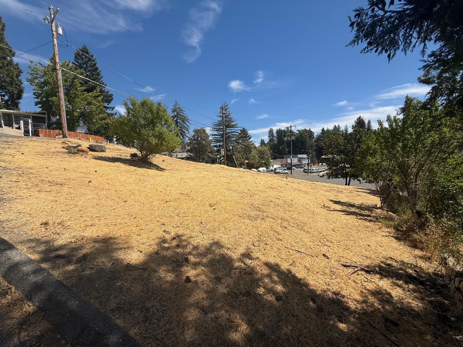 0 Kneeland Street Colfax, CA 95713 - Photo 12 of 18 a view of a yard with a tree
