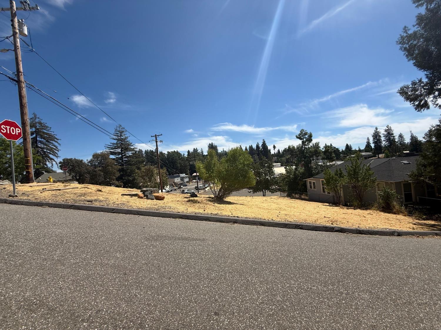 0 Kneeland Street Colfax, CA 95713 - Photo 8 of 8 a view of a road with trees