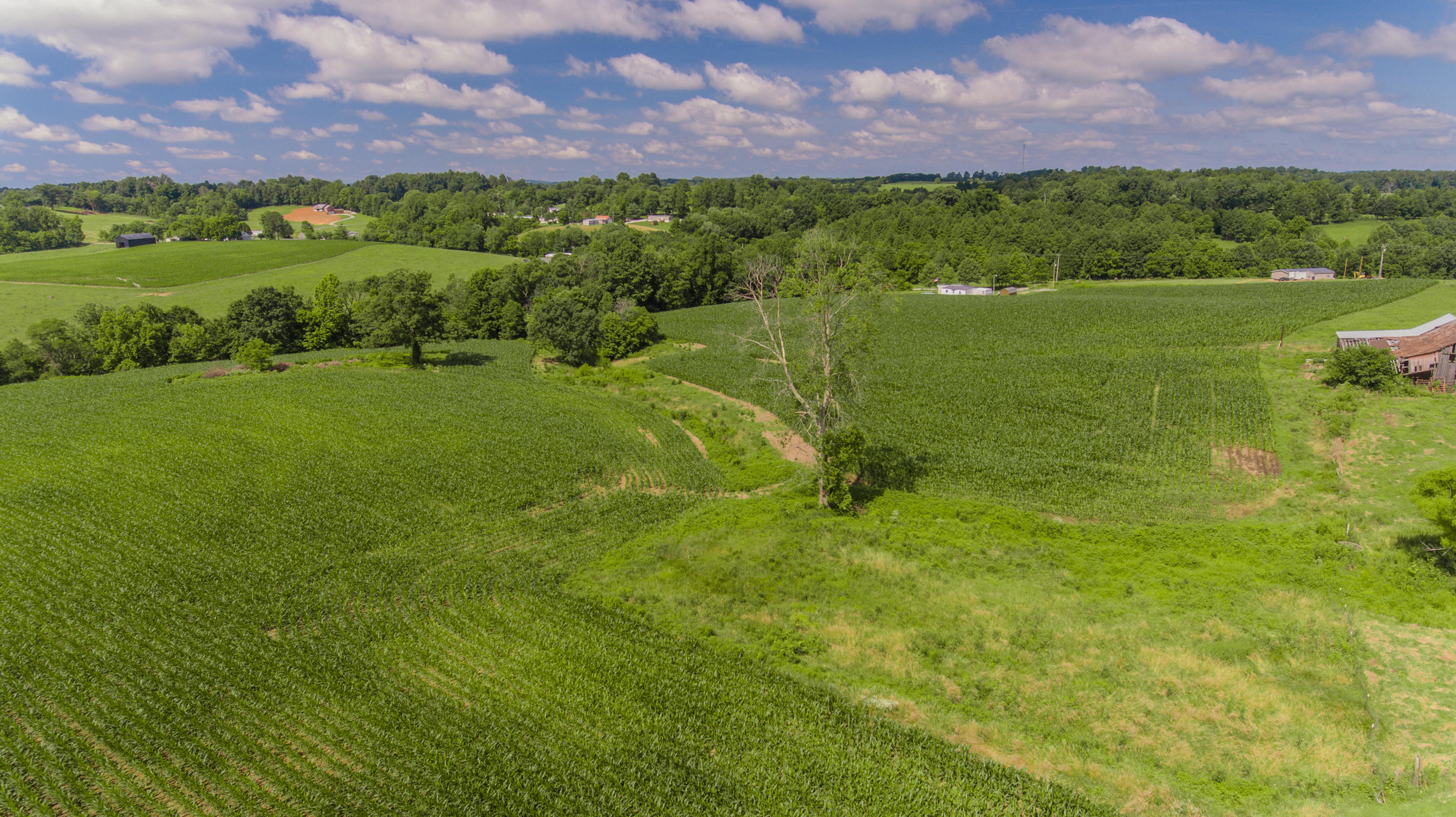 2253 Cemetery Road Waynesburg, KY 40489 - Photo 7 of 28 Zimmerman Land-6