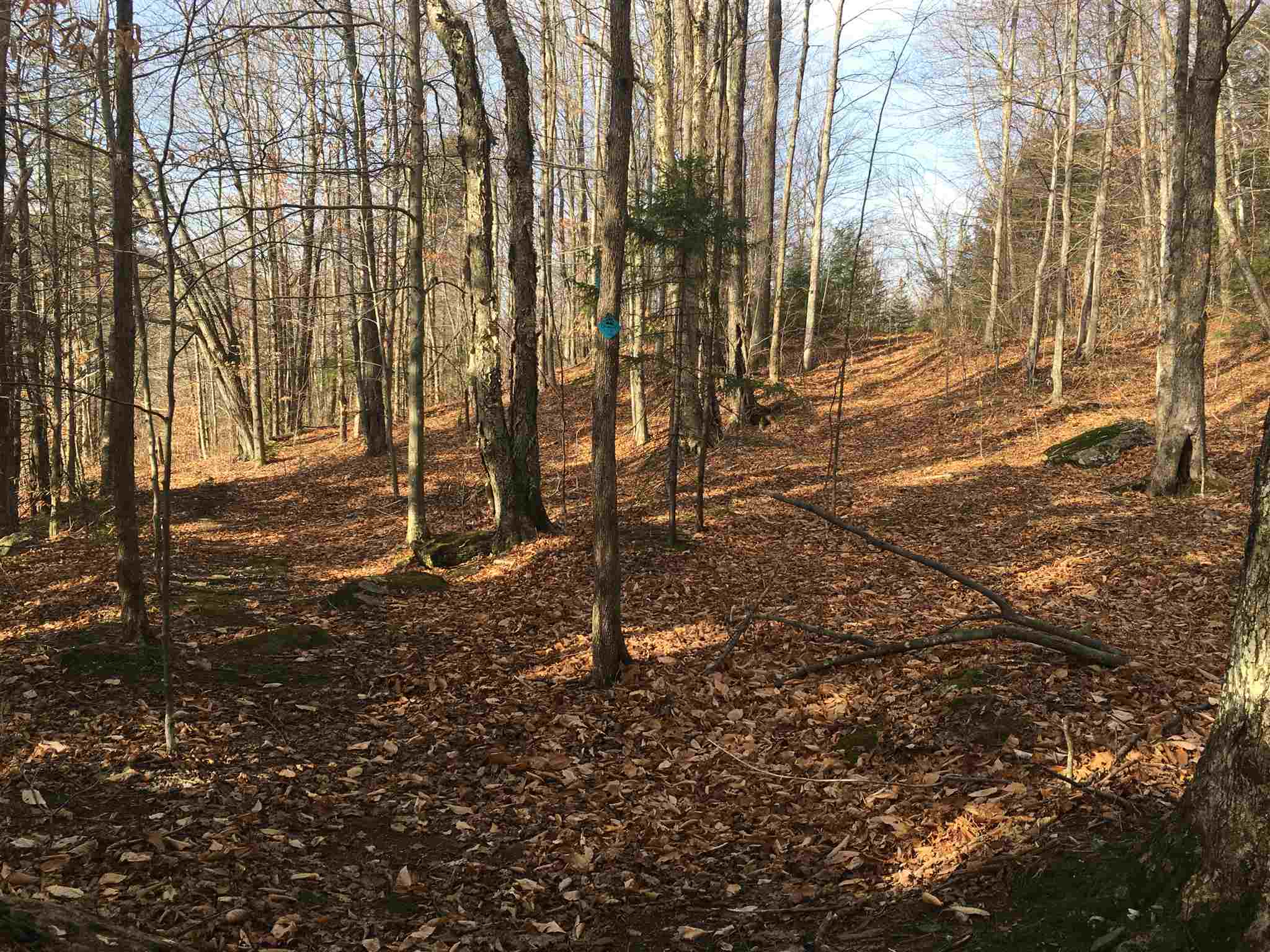 25 Maple Ridge Road, Unit A Fayston, VT 05673 - Photo 5 of 17 Gallery Image 5