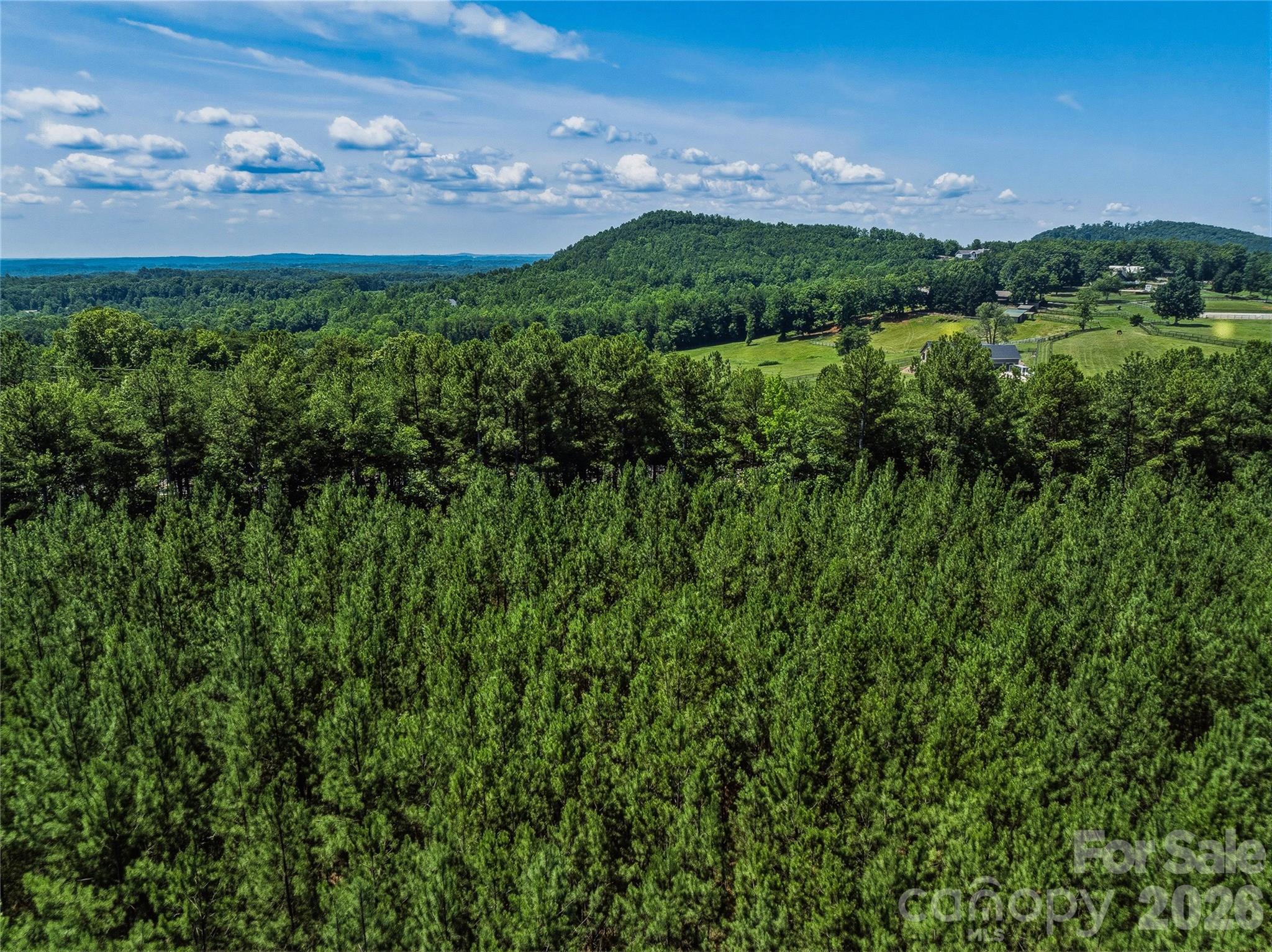 6783 Peniel Road Tryon, NC 28782 - Photo 31 of 36