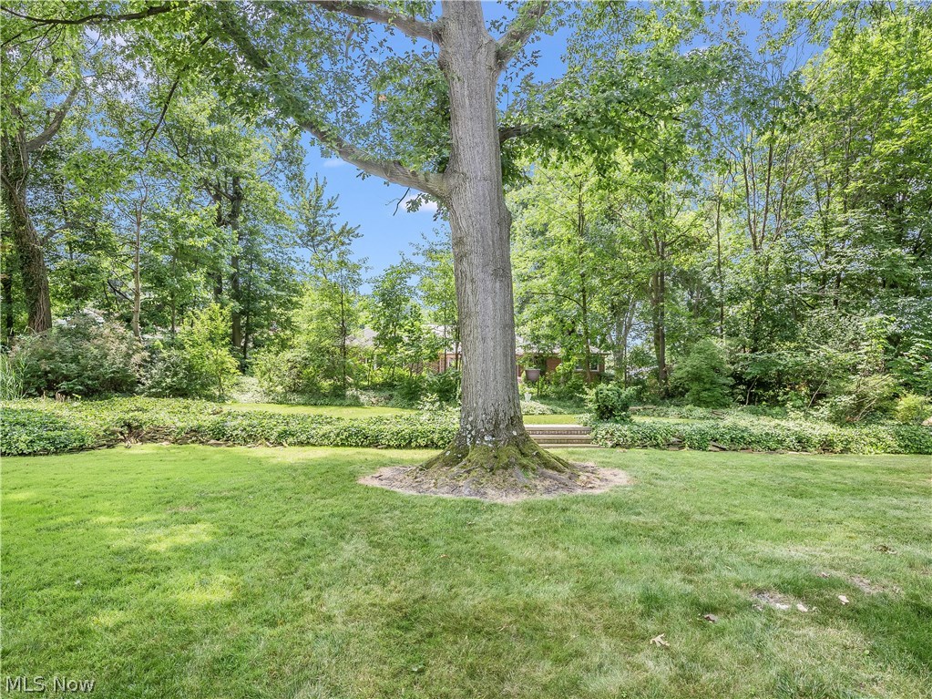 1072 Brandon Road Cleveland, OH 44112 - Photo 24 of 24 Specious Wooded Backyard.