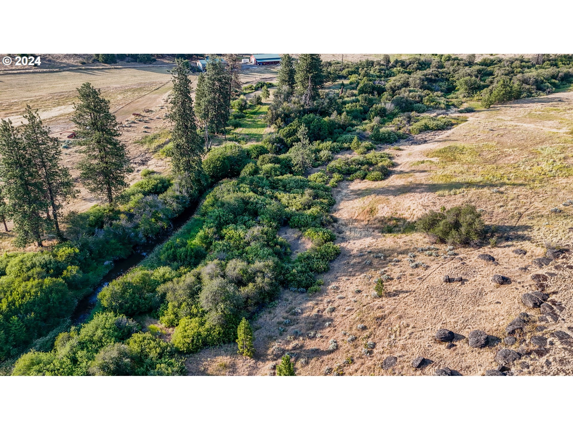 59 Newton Road Centerville, WA 98613 - Photo 1 of 19 Gallery Image 1