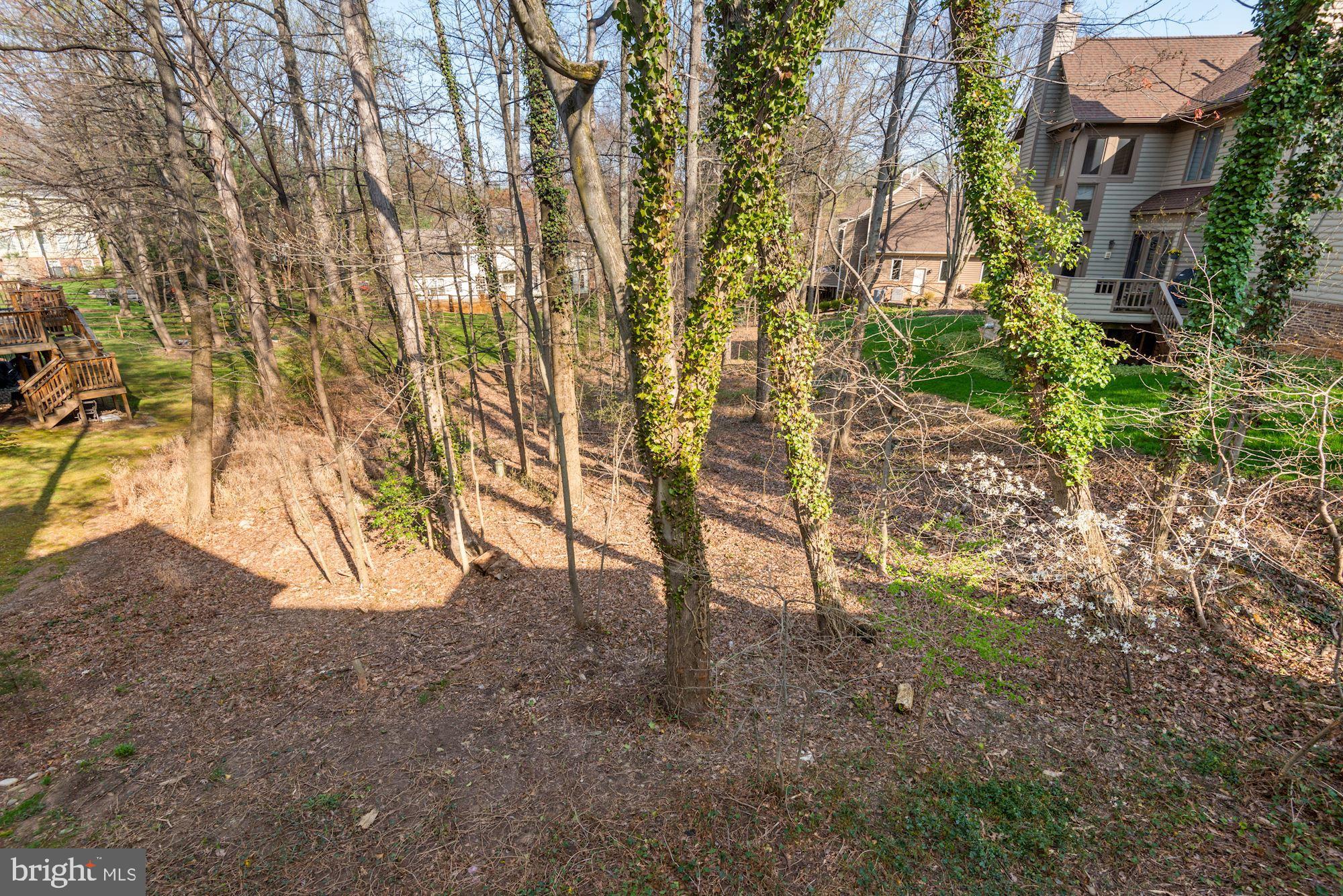 1308 Stamford Way Reston, VA 20194 - Photo 47 of 53 Deck View