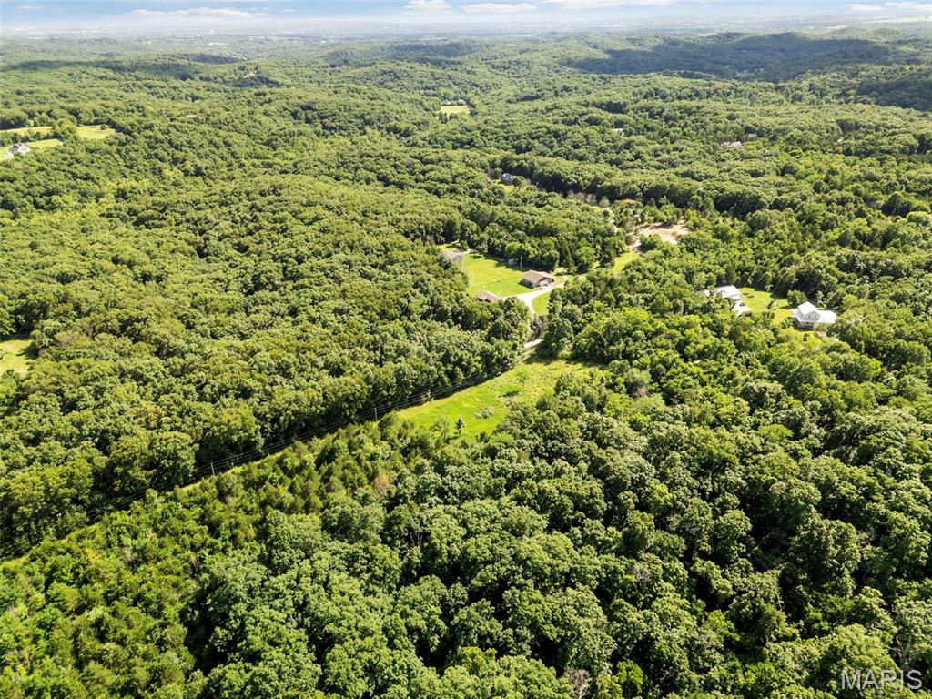 9-acres Timber Ridge Drive Marthasville, MO 63357 - Photo 16 of 22