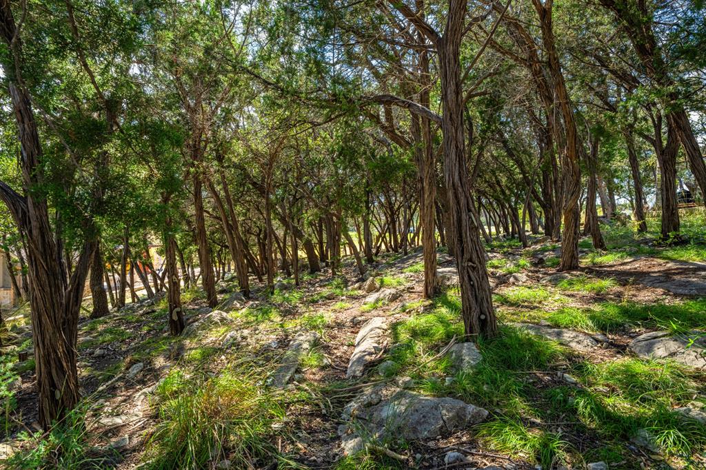 0 West Homer Drive Kerrville, TX 78028 - Photo 1 of 1 Main View