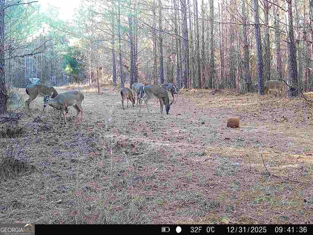 1208 Elberton Road Lexington, GA 30648 - Photo 27 of 61
